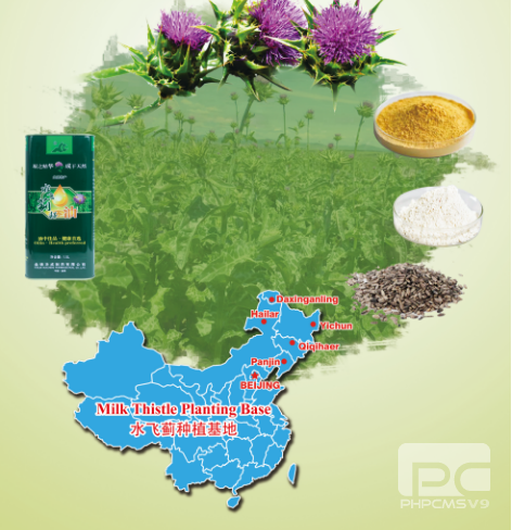 盘锦华成制药有限公司：携手共创医药新未来