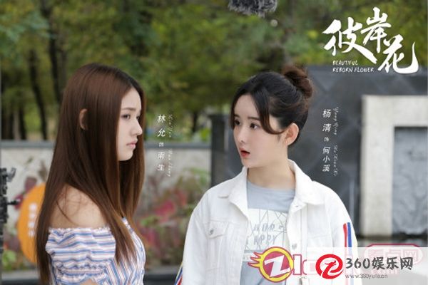 《彼岸花》杨青今天进入航站楼