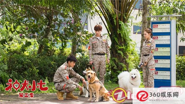 《神犬小七3》救援队在地震现场遭遇泥石流 穆安新的生命在危机中